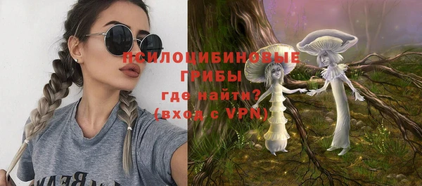 шишки Ладушкин