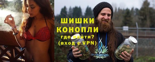 шишки Ладушкин