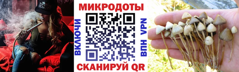 Псилоцибиновые грибы мицелий  Сольцы 