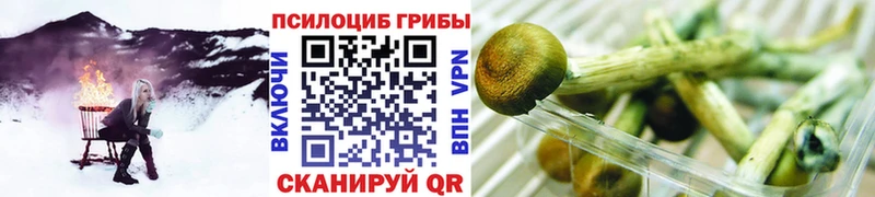 Псилоцибиновые грибы GOLDEN TEACHER Сольцы