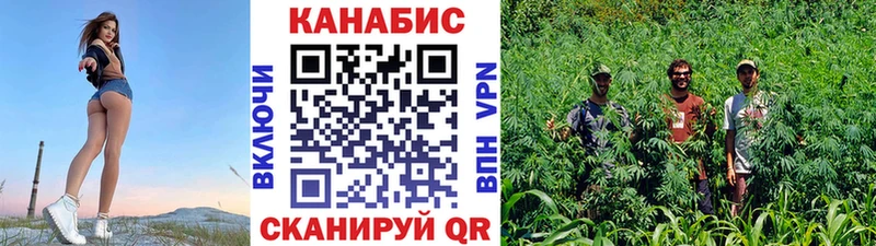 Каннабис сатива  закладки  ссылка на мегу ONION  Сольцы 